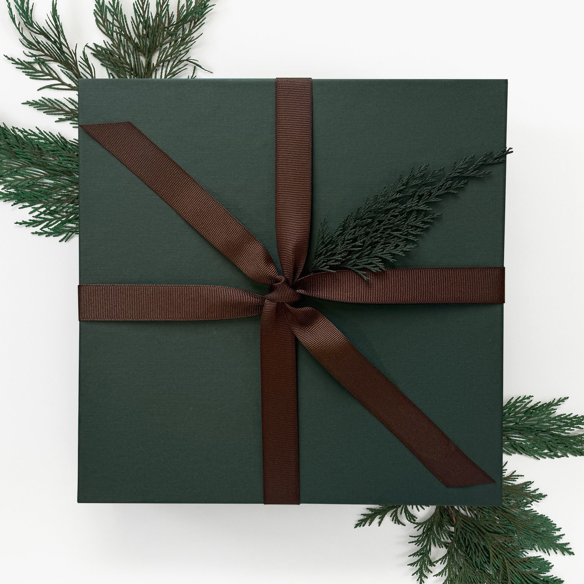 Green Box with Chocolate Ribbon and Cedar